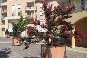 Caisse à plantes Giga structure acier et panneaux Ceranova Caisse à plantes Giga Ceranova