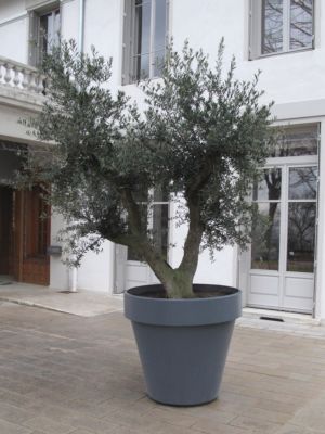 Pot classique Sito Ceranova brut teinté dans la masse Pot Sito Ceranova brut