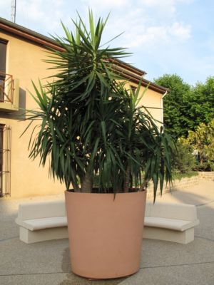 Vasque Paseo Ceranova brut teinté dans la masse Vasque Paseo Ceranova brut