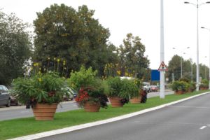 Vasque Lotus Ceranova brut teinté dans la masse Vasque Lotus Ceranova brut