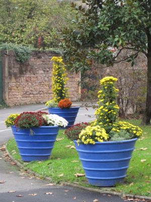 Vasque Lotus Ceranova vernissée teinté dans la masse Vasque Lotus Ceranova vernissée